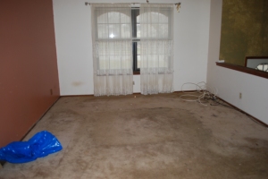 Living room with stained carpet